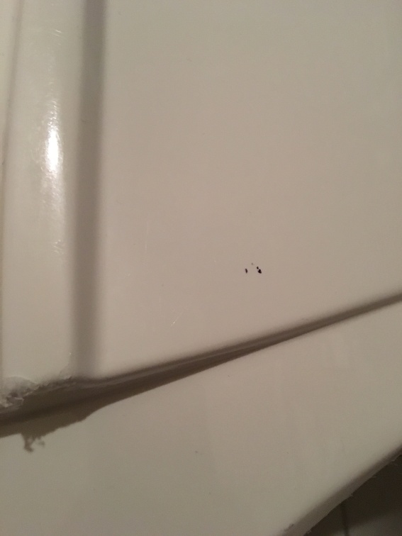 20160303174009-6dcfa74d-la.jpg