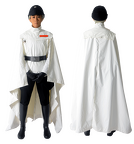 Director Krennic- v3